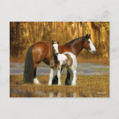 Bob Langrish | Gypsy Vanner Mare en Foal Fantasy Briefkaart (Voorkant)