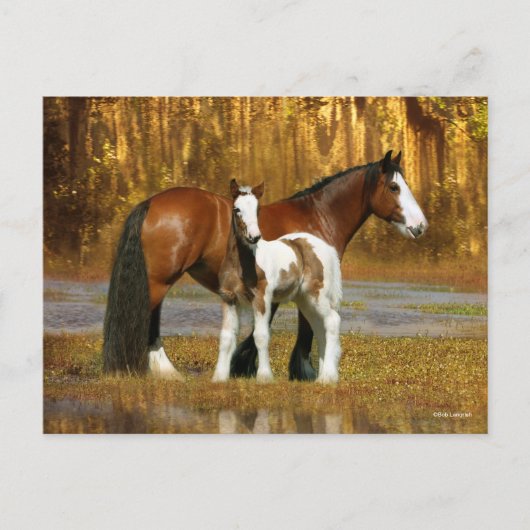 Bob Langrish | Gypsy Vanner Mare en Foal Fantasy Briefkaart (Voorkant)