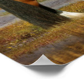 Bob Langrish | Gypsy Vanner Mare en Foal Fantasy Poster (Hoek)