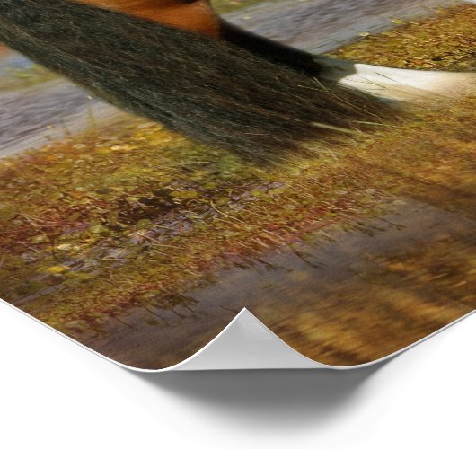 Bob Langrish | Gypsy Vanner Mare en Foal Fantasy Poster (Hoek)