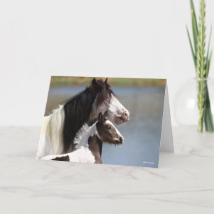 Bob Langrish   Gypsy Vanner Mare en Foal Headshot Kaart
