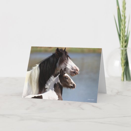 Bob Langrish | Gypsy Vanner Mare en Foal Headshot Kaart (Voorkant)