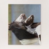 Bob Langrish | Gypsy Vanner Mare en Foal Headshot Legpuzzel (Verticaal)