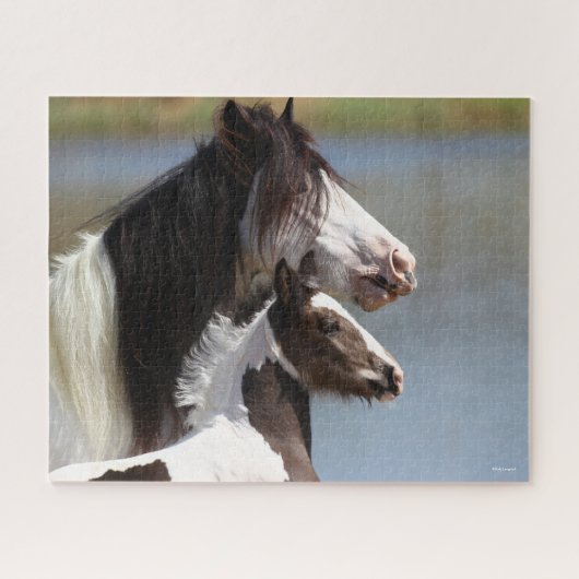Bob Langrish | Gypsy Vanner Mare en Foal Headshot Legpuzzel (Horizontaal)