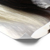 Bob Langrish | Gypsy Vanner Mare en Foal Headshot Poster (Hoek)