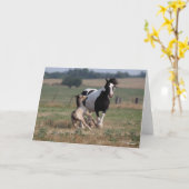 Bob Langrish | Gypsy Vanner Mare en Foal Kaart (Gele Bloem)