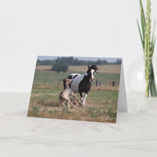 Bob Langrish | Gypsy Vanner Mare en Foal Kaart (Voorkant)