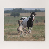 Bob Langrish | Gypsy Vanner Mare en Foal Legpuzzel (Horizontaal)