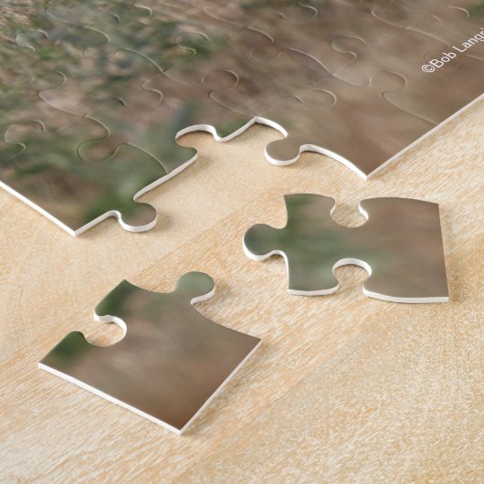 Bob Langrish | Gypsy Vanner Mare en Foal Legpuzzel (Zijkant)