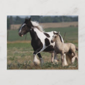 Bob Langrish | Gypsy Vanner Mare en Foal Running Briefkaart (Voorkant)
