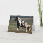 Bob Langrish | Gypsy Vanner Mare en Foal Running Kaart (Voorkant)