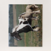 Bob Langrish | Gypsy Vanner Mare en Foal Running Legpuzzel (Verticaal)