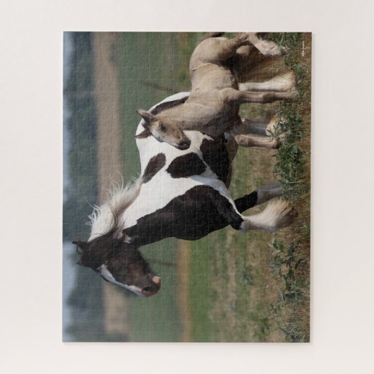 Bob Langrish | Gypsy Vanner Mare en Foal Running Legpuzzel (Verticaal)