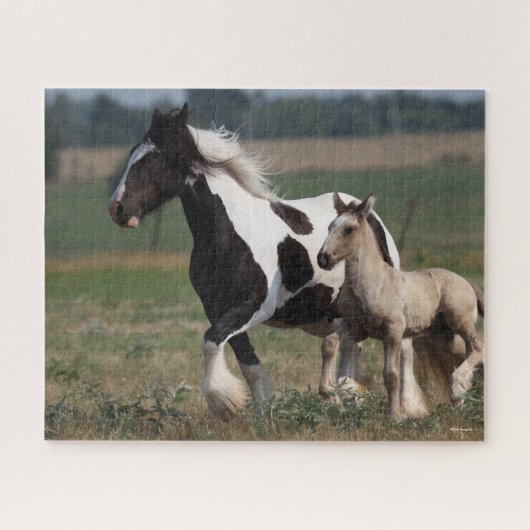 Bob Langrish | Gypsy Vanner Mare en Foal Running Legpuzzel (Horizontaal)