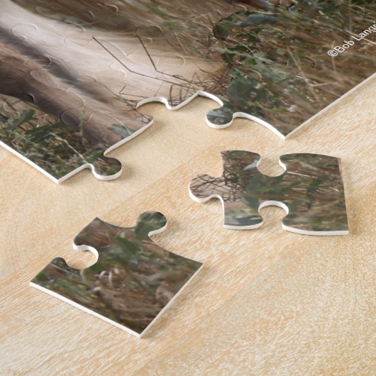 Bob Langrish | Gypsy Vanner Mare en Foal Running Legpuzzel (Zijkant)