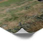 Bob Langrish | Gypsy Vanner Mare en Foal Running Poster (Hoek)