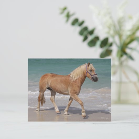 Bob Langrish | Haflinger die op het strand loopt Briefkaart (Staand voorkant)