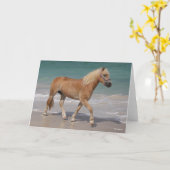Bob Langrish | Haflinger die op het strand loopt Kaart (Gele Bloem)