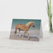 Bob Langrish | Haflinger die op het strand loopt Kaart (Voorkant)