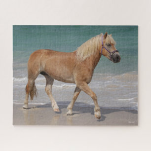 Bob Langrish Haflinger die op het strand loopt Legpuzzel