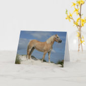 Bob Langrish | Haflinger op het strand Kaart (Gele Bloem)