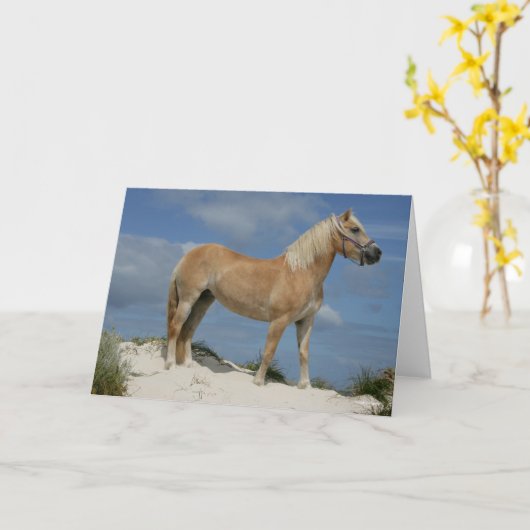 Bob Langrish | Haflinger op het strand Kaart (Gele Bloem)