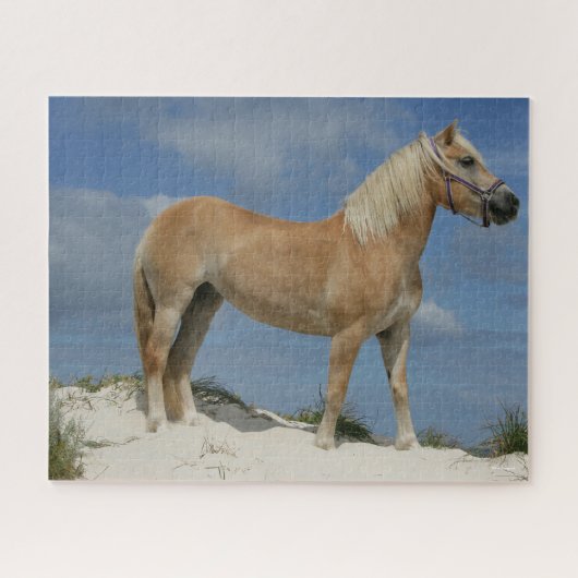 Bob Langrish | Haflinger op het strand Legpuzzel (Horizontaal)