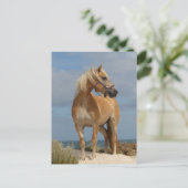 Bob Langrish | Haflinger op strand Briefkaart (Staand voorkant)
