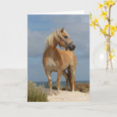 Bob Langrish | Haflinger op strand Kaart (Gele Bloem)