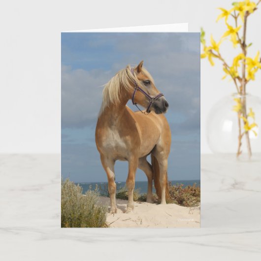 Bob Langrish | Haflinger op strand Kaart (Gele Bloem)