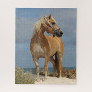 Bob Langrish Haflinger op strand Legpuzzel