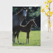 Bob Langrish | Harde bloem Mare en Foal Backlit Kaart (Gele Bloem)