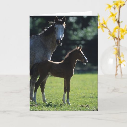 Bob Langrish | Harde bloem Mare en Foal Backlit Kaart (Gele Bloem)