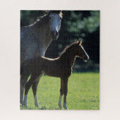 Bob Langrish | Harde bloem Mare en Foal Backlit Legpuzzel (Verticaal)