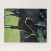 Bob Langrish | Harde bloem Mare en Foal Backlit Legpuzzel (Horizontaal)