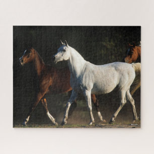 Bob Langrish Herd Arab Mares Walking Legpuzzel
