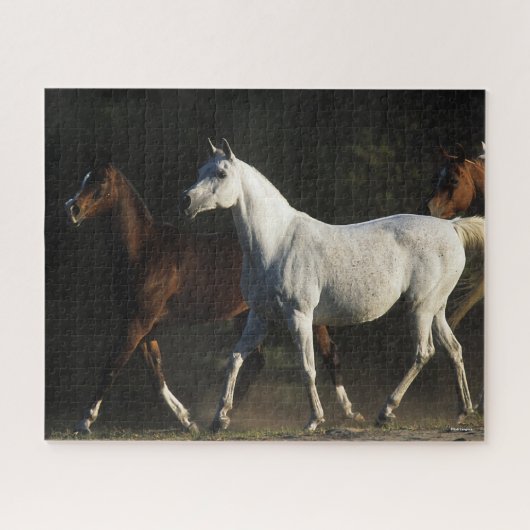 Bob Langrish | Herd Arab Mares Walking Legpuzzel (Horizontaal)