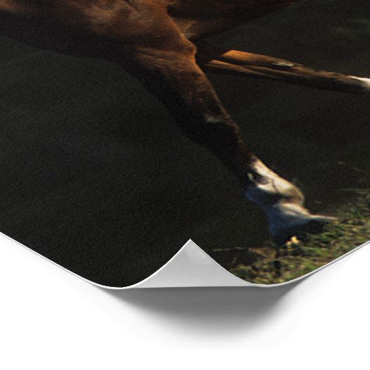 Bob Langrish | Herd Arab Mares Walking Poster (Hoek)