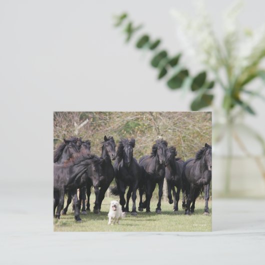 Bob Langrish | Herd Black Meren Horses en Dog Briefkaart (Staand voorkant)