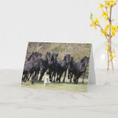 Bob Langrish | Herd Black Meren Horses en Dog Kaart (Gele Bloem)