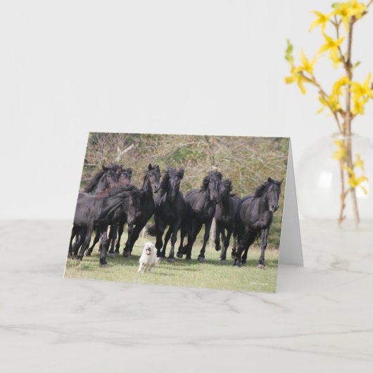 Bob Langrish | Herd Black Meren Horses en Dog Kaart (Gele Bloem)