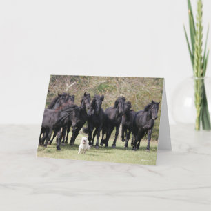 Bob Langrish Herd Black Meren Horses en Dog Kaart