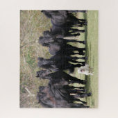 Bob Langrish | Herd Black Meren Horses en Dog Legpuzzel (Verticaal)