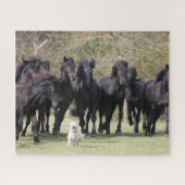 Bob Langrish | Herd Black Meren Horses en Dog Legpuzzel (Horizontaal)
