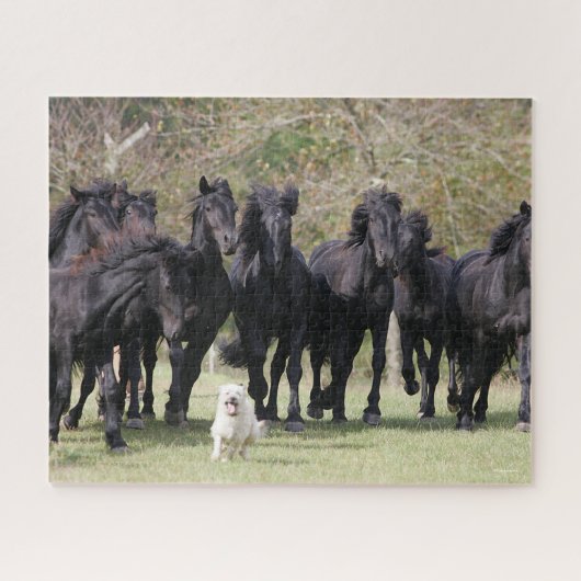 Bob Langrish | Herd Black Meren Horses en Dog Legpuzzel (Horizontaal)