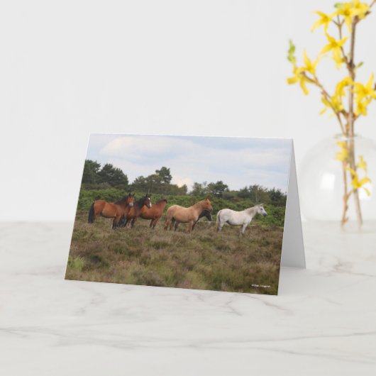 Bob Langrish | Herd New Forest Ponies Standing Kaart (Gele Bloem)