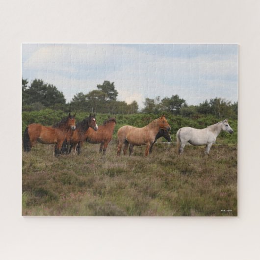 Bob Langrish | Herd New Forest Ponies Standing Legpuzzel (Horizontaal)
