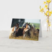 Bob Langrish | Herd van met vogels vastzittende pa Kaart (Gele Bloem)