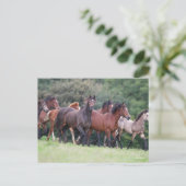Bob Langrish | Herd van Welsh Ponies in Field Briefkaart (Staand voorkant)