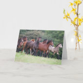 Bob Langrish | Herd van Welsh Ponies in Field Kaart (Gele Bloem)